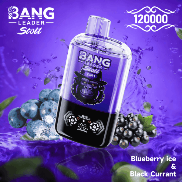 Bang Leader 120k Blueberry Ice/Black Currant