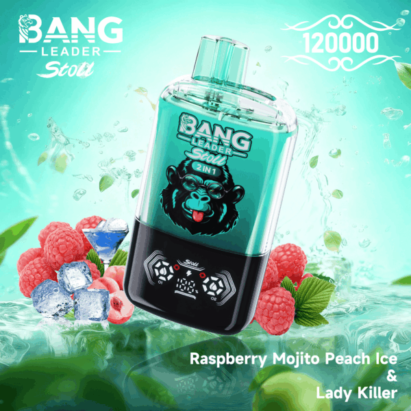 Bang Leader 120k Raspberry Mojito Peach Ice/Lady Killer