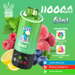 Bang Leader 110K Lemon Romance/Blueberry Raspberry/Peach Menthol