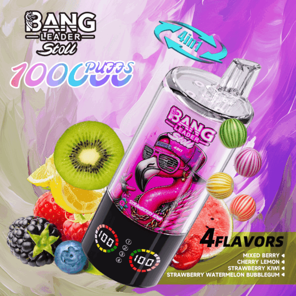 Bang Leader 100k Mixed Berry/Cherry Lemon/Strawberry Kiwi/Strawberry Watermelon Bubblegum