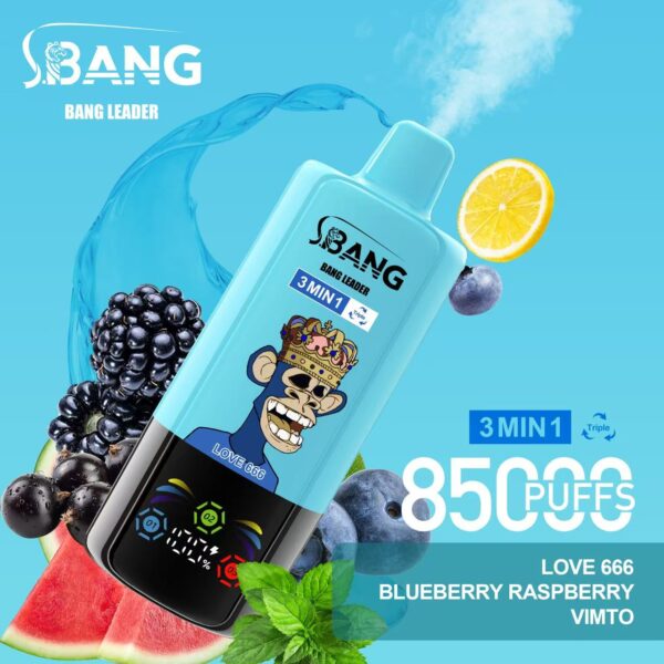 Bang Leader 85000 Love 666/Blueberry Raspberry/Vimto