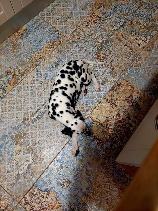 CARPET VESTIGE NATURAL 50x100 - Slika 5