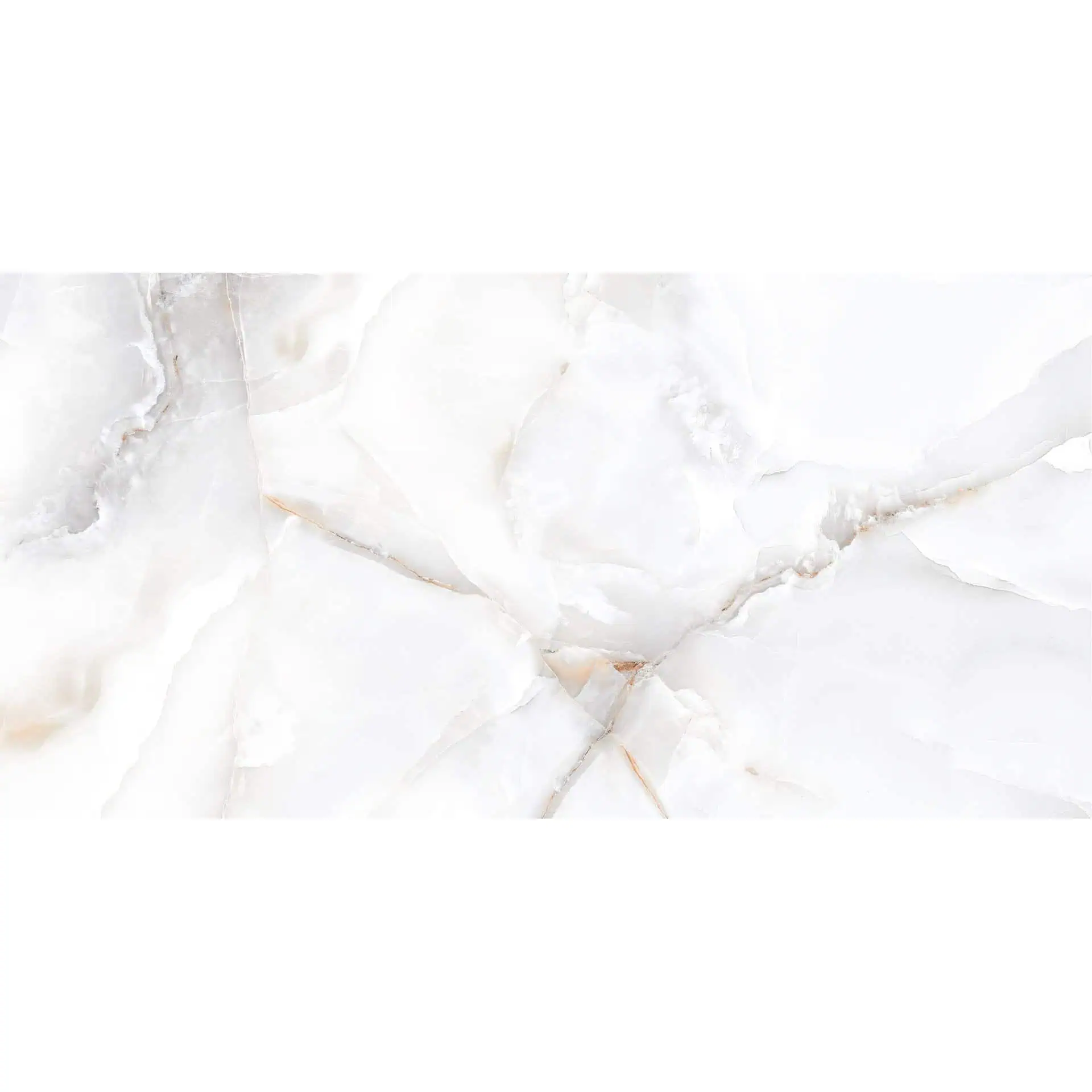 OYSTER (OYESTER) ONYX 60x120