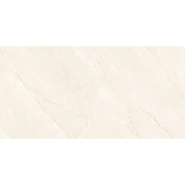 CARNO IVORY CARVING 60x120