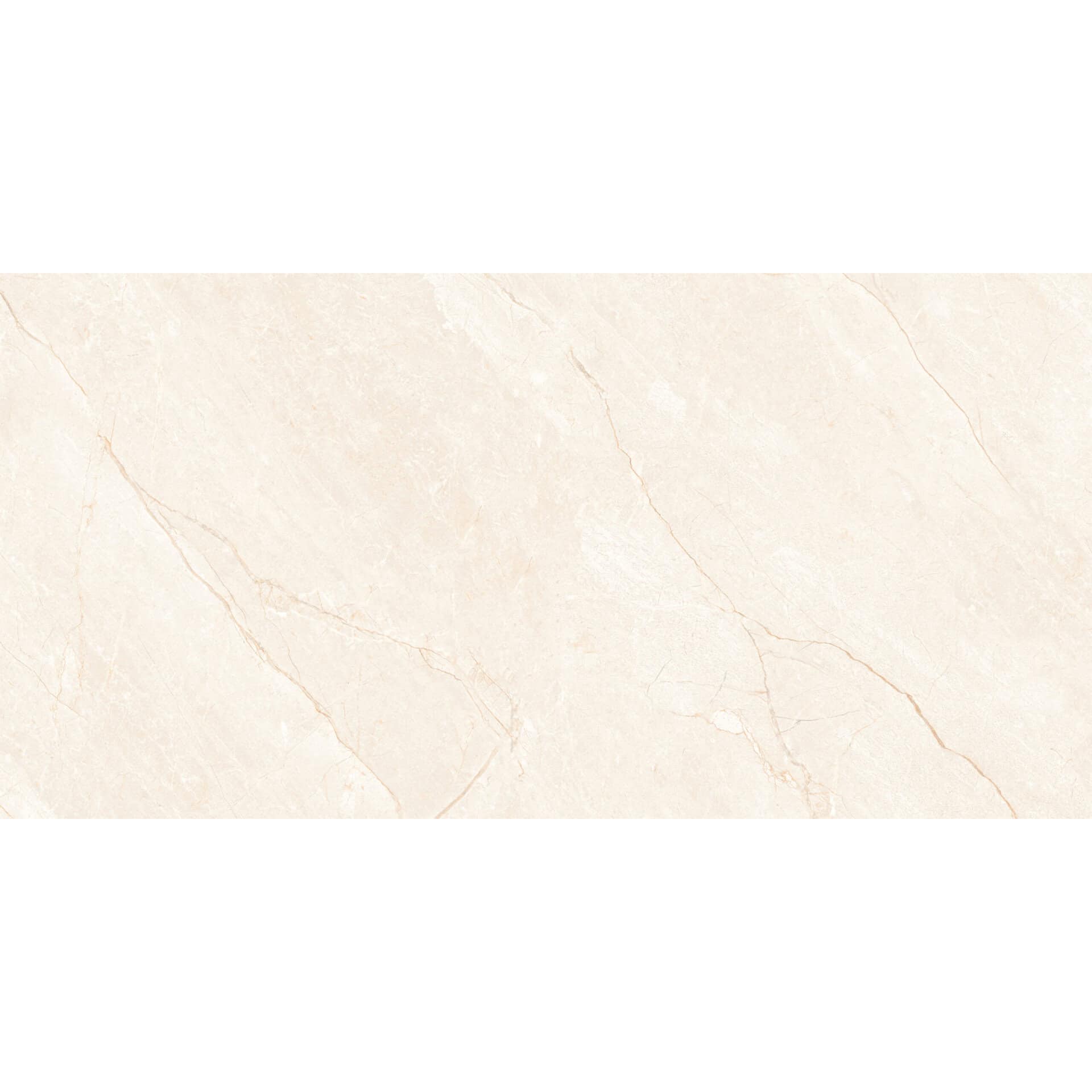 CARNO IVORY CARVING 60x120