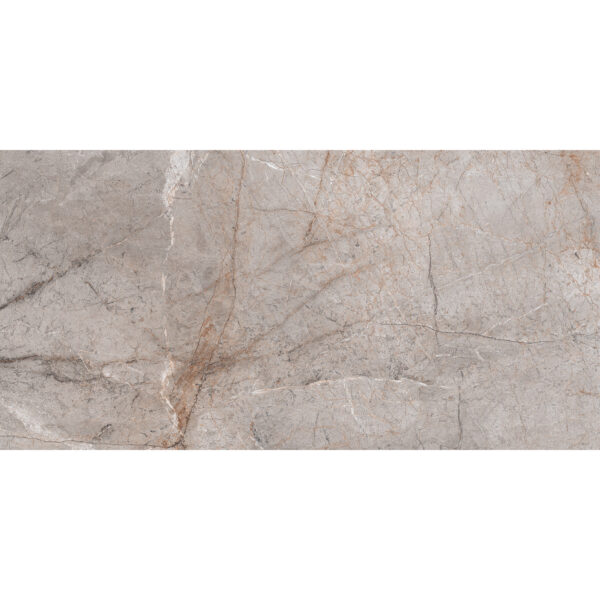 BELGIUM GREY GLOSSY 60x120