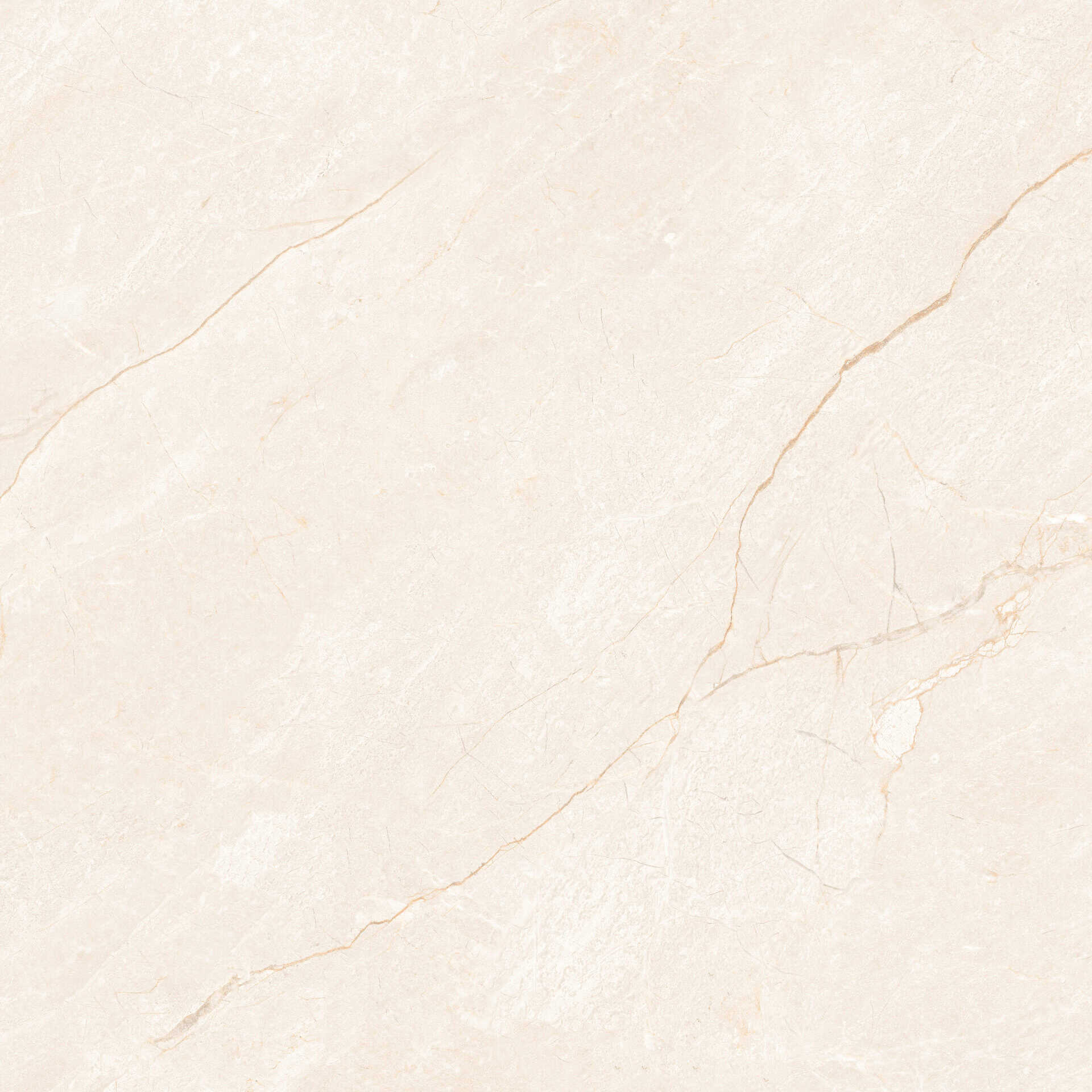 CARNO IVORY CARVING 60x60