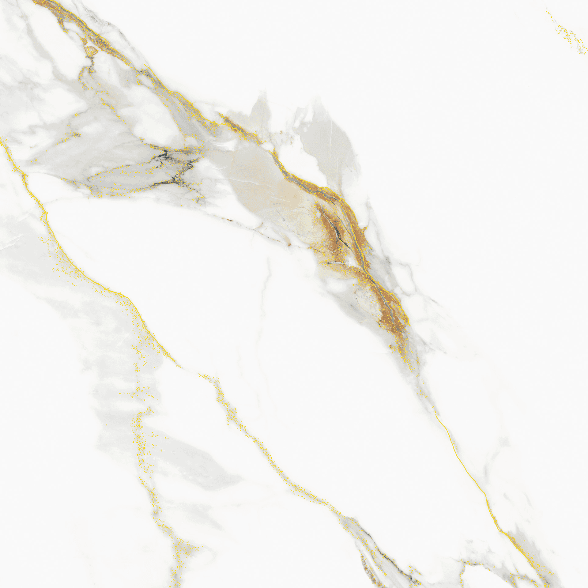 G8024 CALACATTA 80x80 S