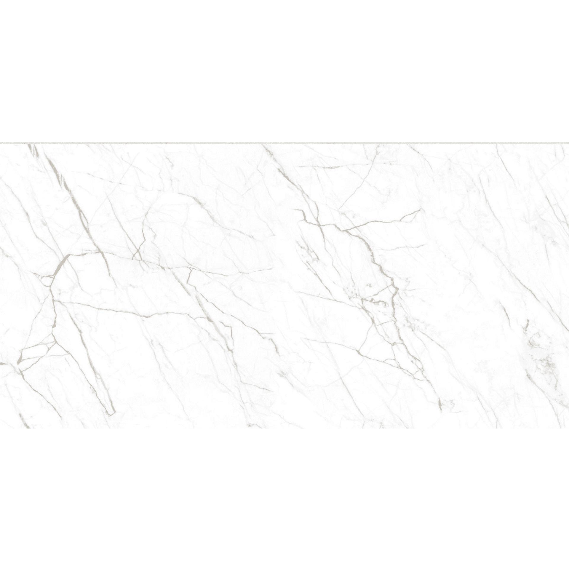 FLORIDA WHITE MAT 60x120