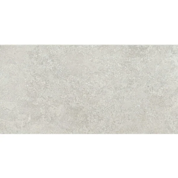 ARONA GREY MAT 59,8x119,8