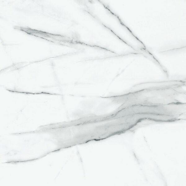 CALACATTA SILVER 60x60