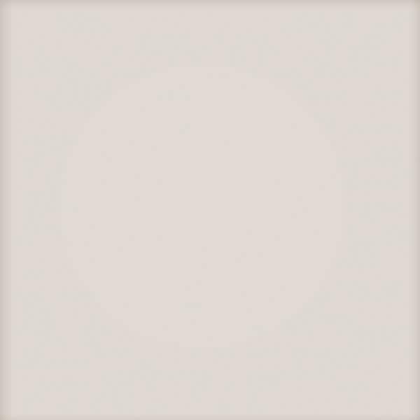 PASTEL SZARY JASNY MAT 20x20