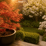 arbres pour petit jardin érable terrasse