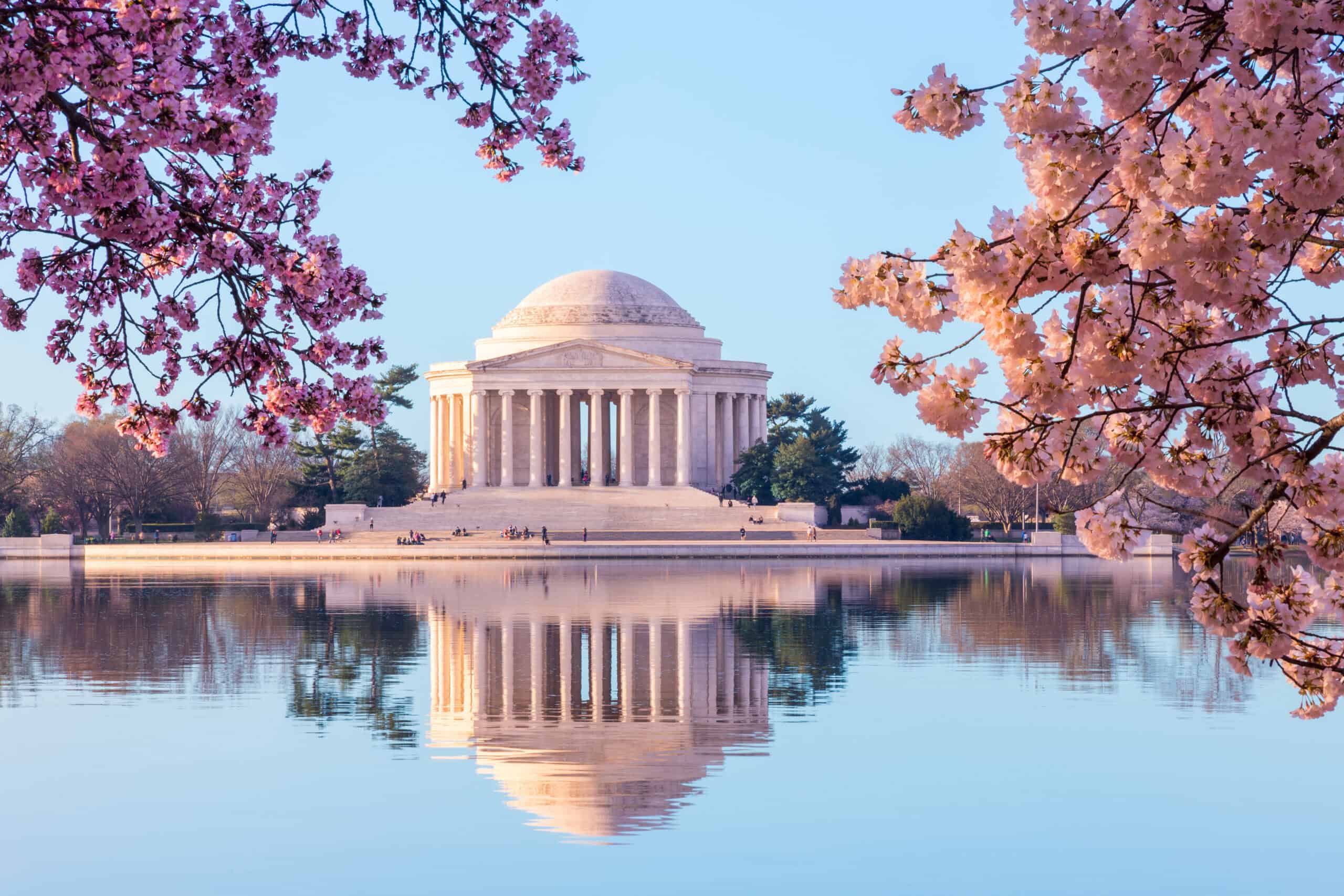 The Jefferson Memorial is reflected in calm water, framed by pink cherry blossom branches under a clear blue sky, capturing the essence of spring.