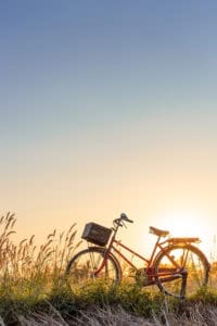A red bicycle with a front basket stands in tall grass at sunrise or sunset, bathed in warm sunlight—a peaceful scene that quietly reflects the balance and calm found in justice.