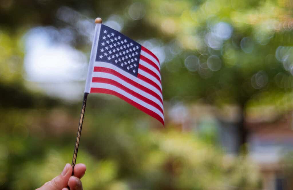 A citizen's hand holds a small American flag on a stick against a blurred outdoor background with green and yellow tones.