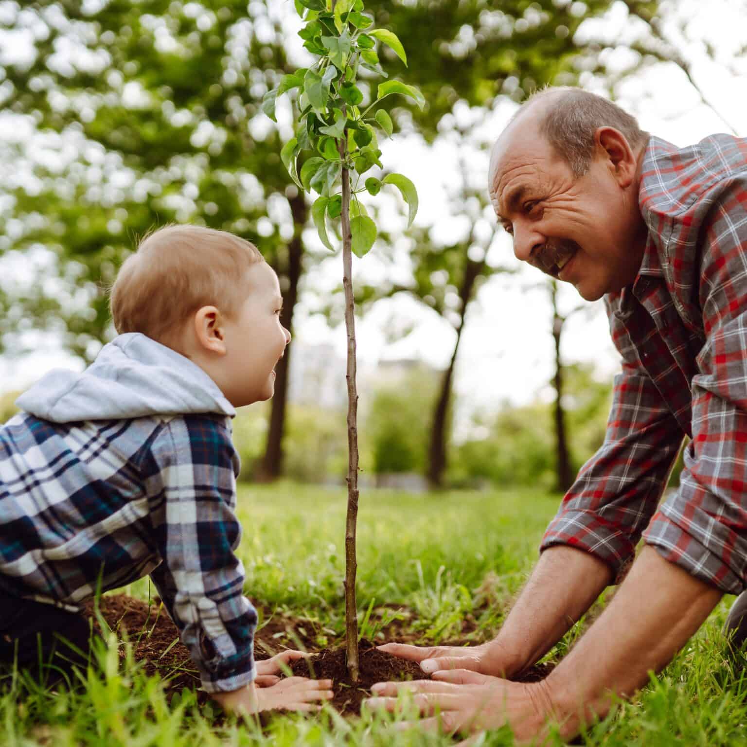 An elderly man and a young boy, both smiling, kneel on grass and plant a small tree together in a park-like area, surrounded by lush green trees on a bright spring day.