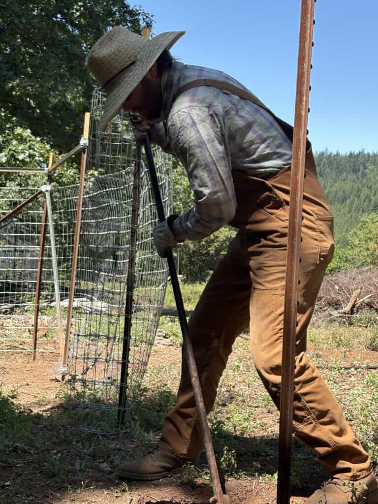 Andrew working on the homestead fencing.