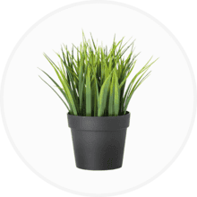 Artificial Plants & Pots