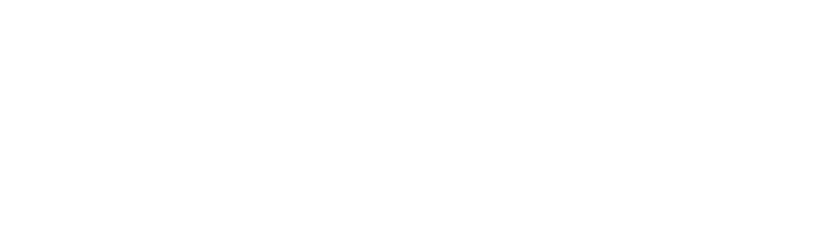 Item 1