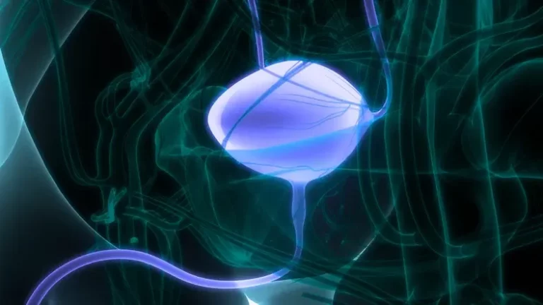 New Questions in Muscle-Invasive Bladder Cancer After the NIAGARA Trial