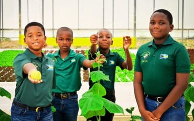 Exciting News & Fall Updates from The Farm at CTI