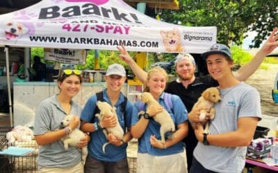 OEF & Cotton Bay Unite To Strengthen South Eleuthera Communities