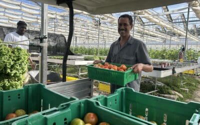 Growing Food Security: Why the CTI Training Farm Matters More Than Ever