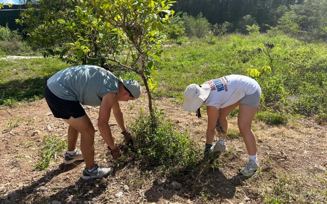 Innovation in Action: Building the CTI Regenerative Food Forest