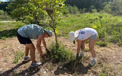 Innovation in Action: Building the CTI Regenerative Food Forest