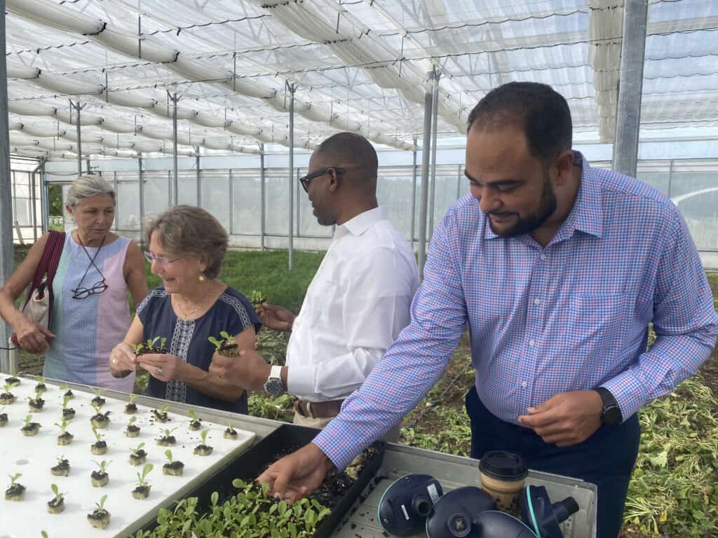 OEF board directors tour the CTI Farm, which is one of the social enterprises powered by One Eleuthera Foundation