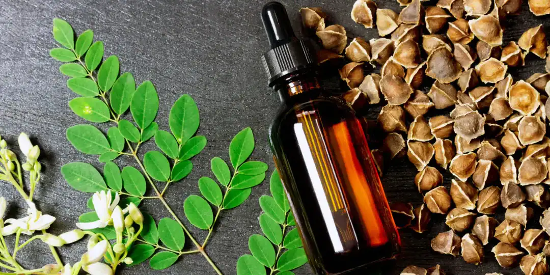 Bush Medicine: A Culture-rich Treasure Trove Of Healing Power