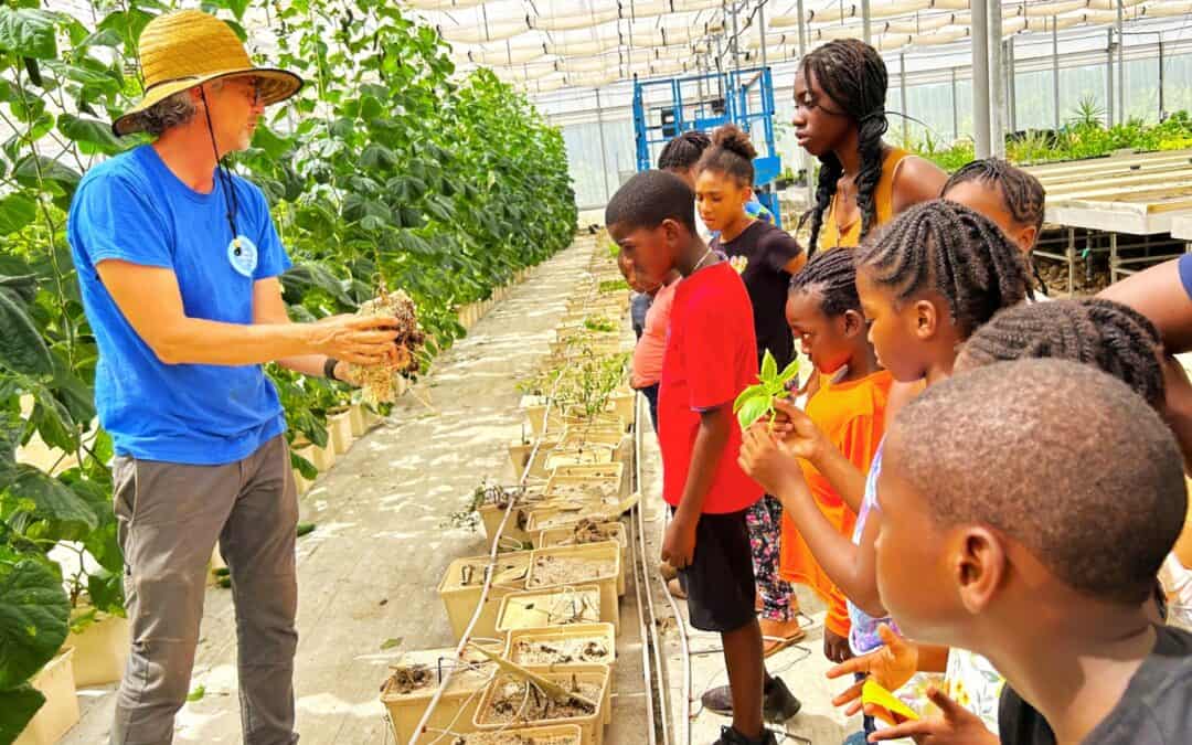 Pioneering Sustainable Agriculture in The Bahamas