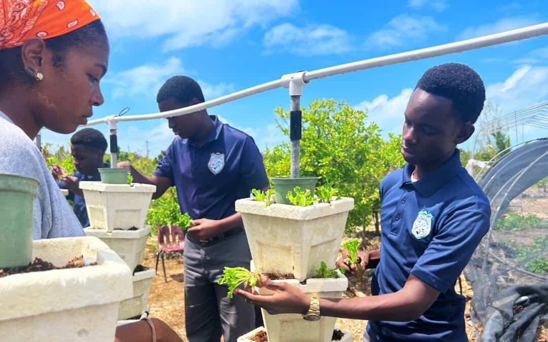 Investing in the Future Through Sustainable Agriculture & Youth