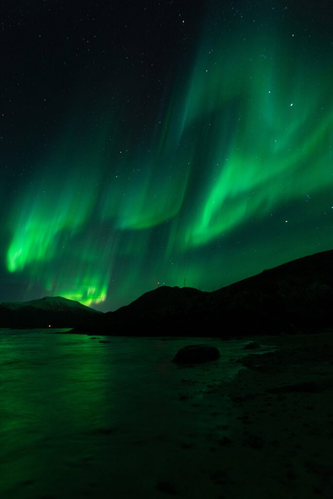 Estelle 20221125 DSC06115