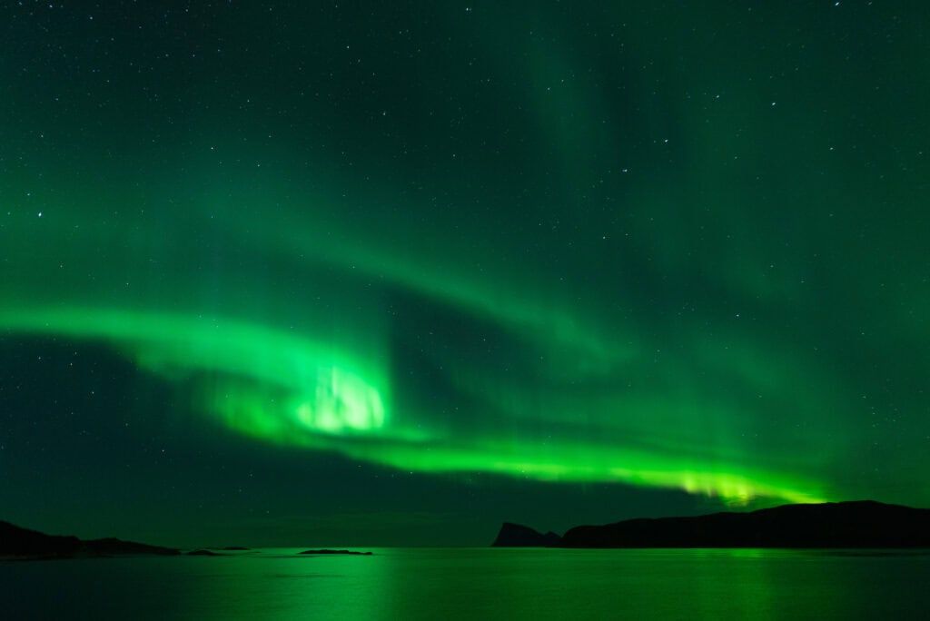 Estelle 20221125 DSC06157