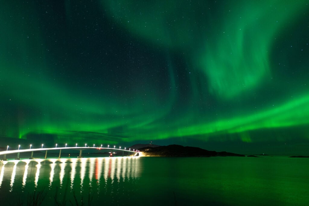 Estelle 20221125 DSC06165