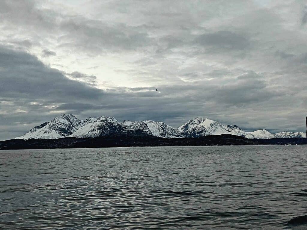 316670694 10219549112152792 4701358879608437526 n