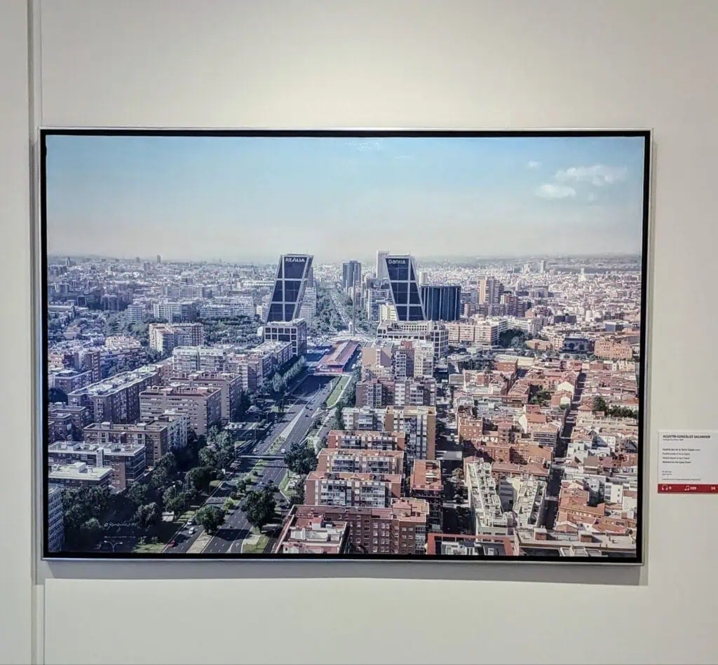 wp 17168388376912797325185349360955