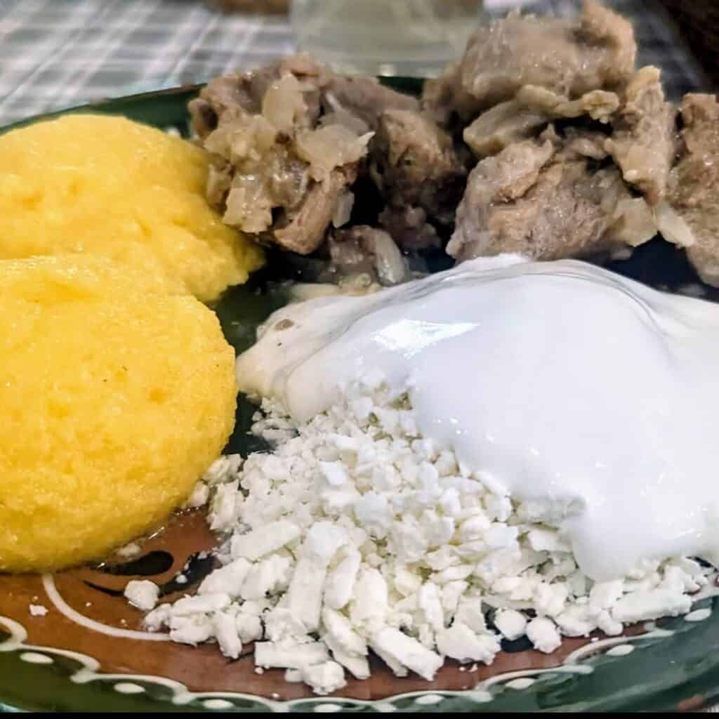 brânză, smântână și tocană de porc butaceni eco village