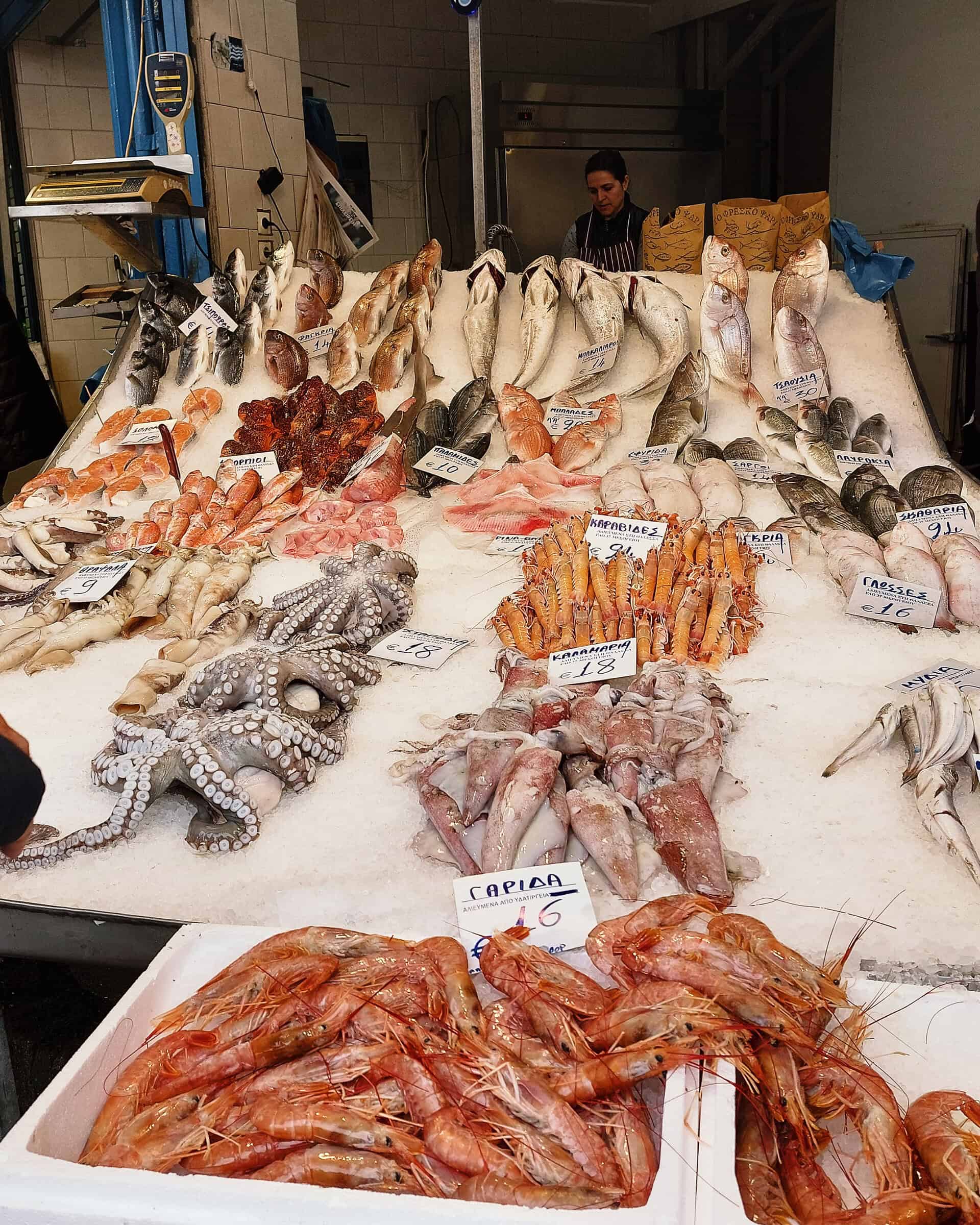 Fish Shellfish and Octopus at Thessaloniki market