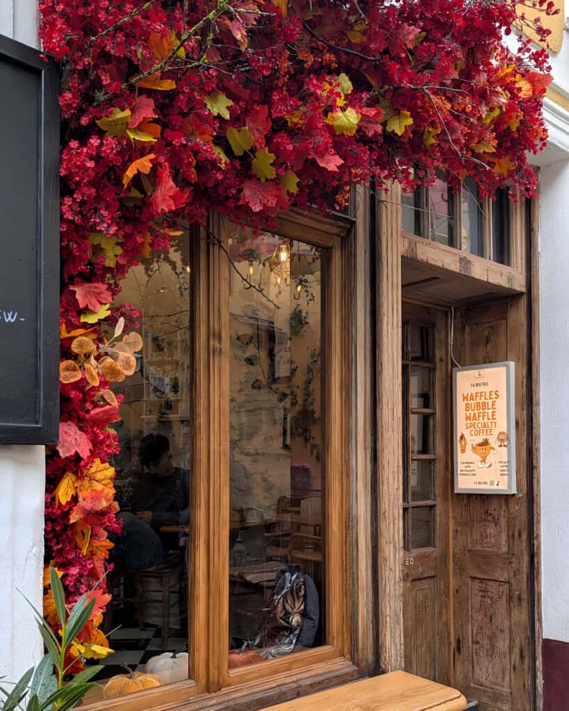 Cafe off Umbrella Street in Sighisoara
