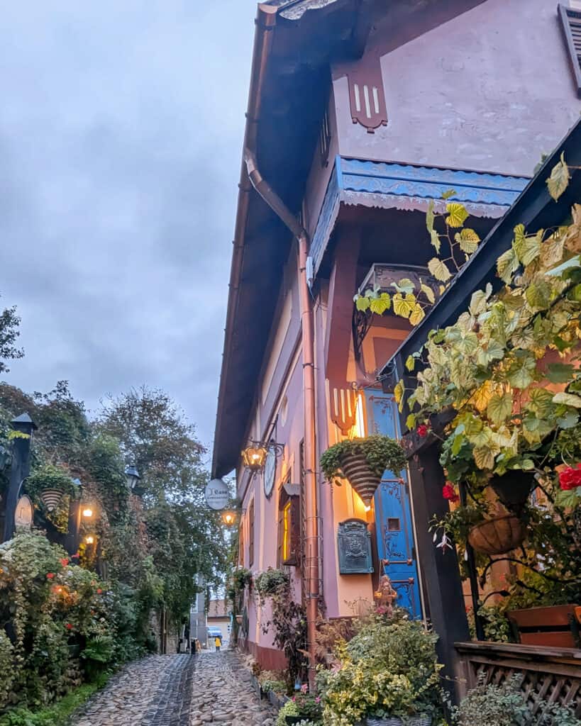 Casa Cositorarului - Sighisoara - Entrance