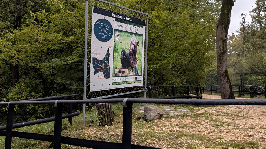 Remember Maya sign Libearty Bear Sanctuary 1