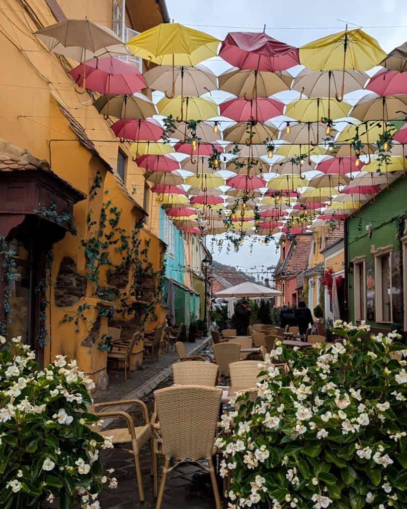 Umbrella Street Sighisoara