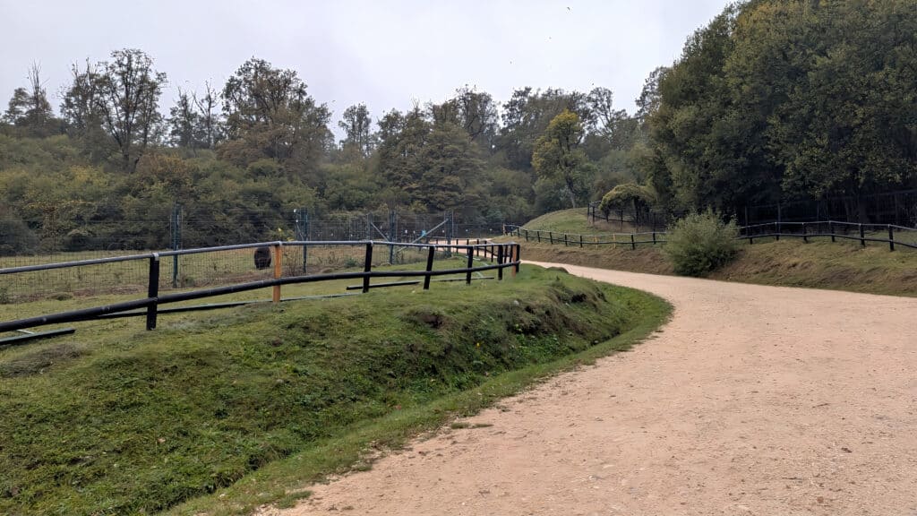 path around the sanctuary Libearty Bear Sanctuary