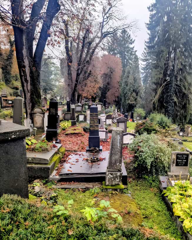 saxon cemetery Sighisoara - near the Church on the Hill