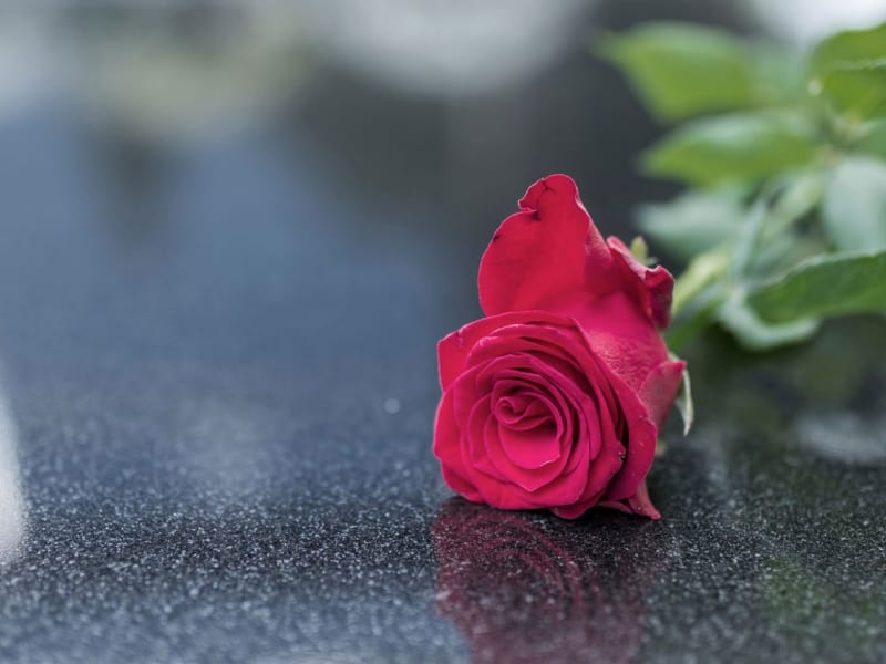 Img-Lastre-Cinerarie