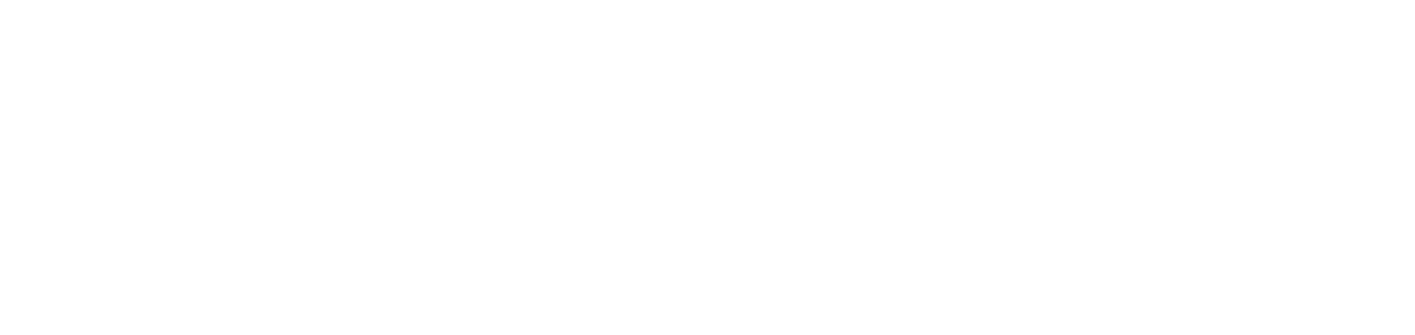 Opticore IT Logo