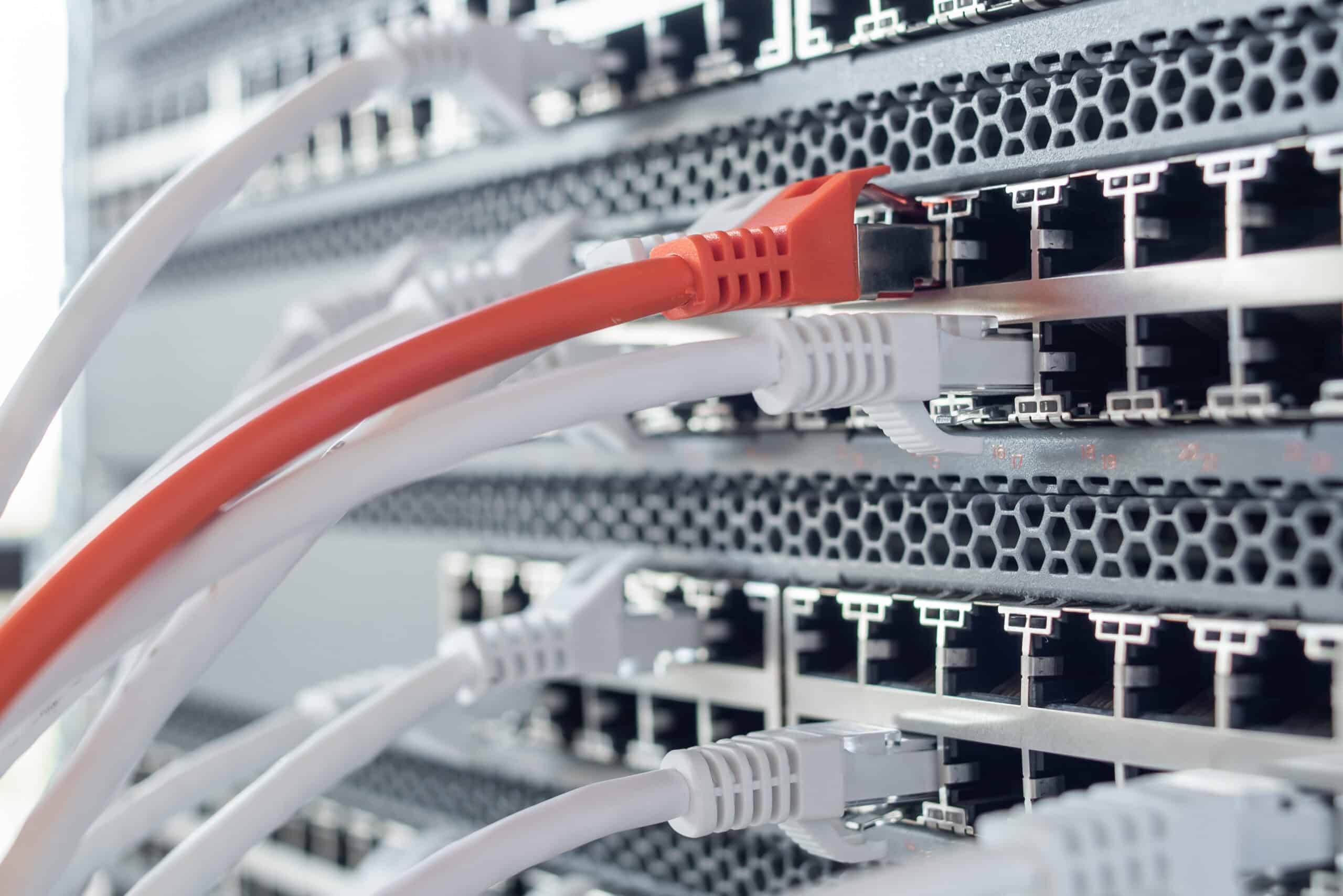 High-speed network cables connected to data server, data center infrastructure.